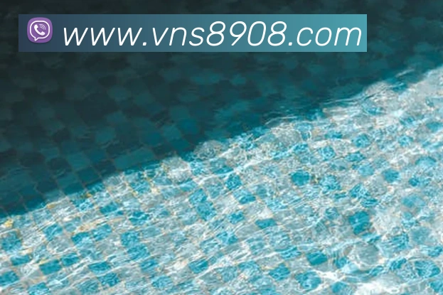 威尼斯娱乐平台平台生态图